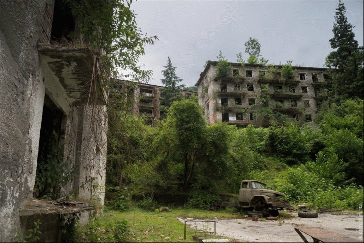 35+ Abandoned Places That Were Reclaimed by Nature. 534545