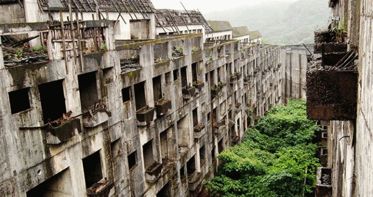 35+ Abandoned Places That Were Reclaimed by Nature. 500724