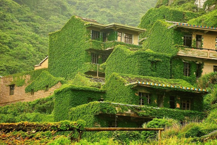 35+ Abandoned Places That Were Reclaimed by Nature. 309563