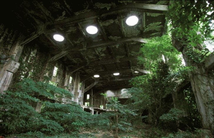 35+ Abandoned Places That Were Reclaimed by Nature. 159267