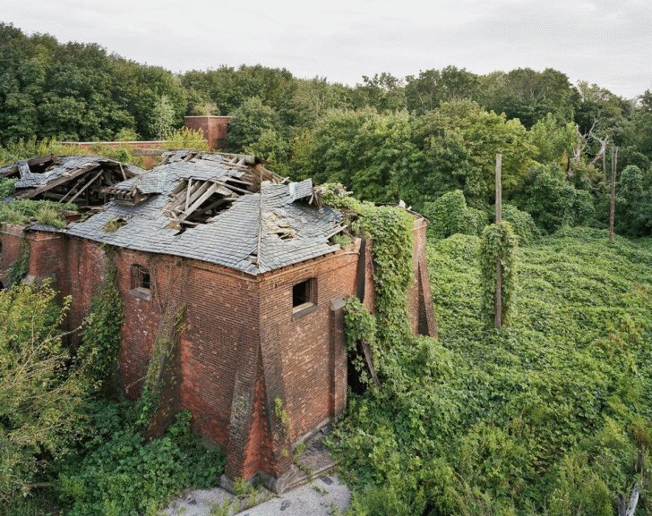 35+ Abandoned Places That Were Reclaimed by Nature. 592696