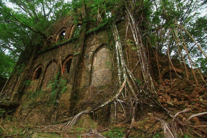 35+ Abandoned Places That Were Reclaimed by Nature. 640778