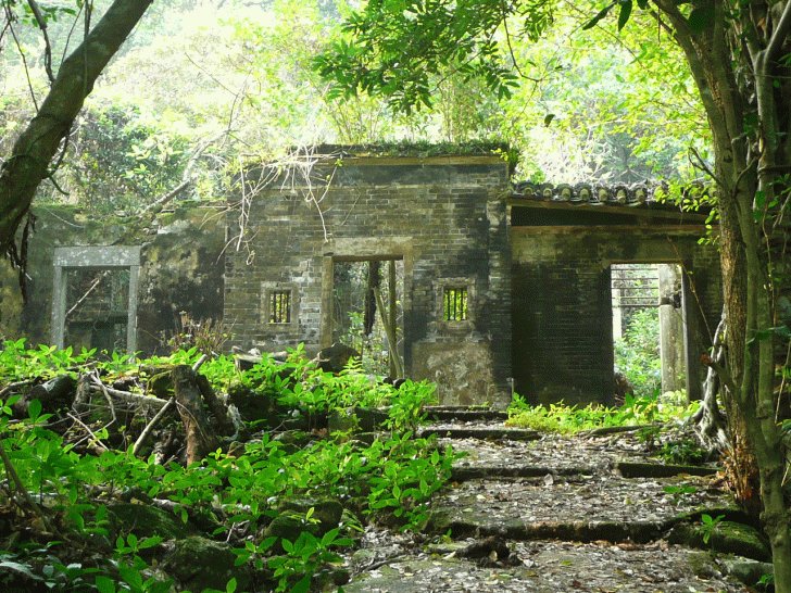 35+ Abandoned Places That Were Reclaimed by Nature. 591056