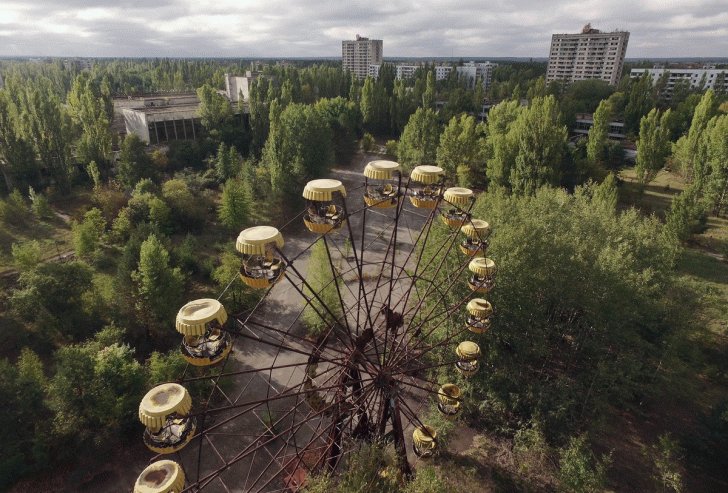 35+ Abandoned Places That Were Reclaimed by Nature. 278881