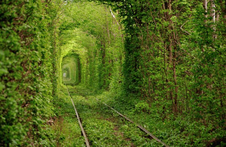 35+ Abandoned Places That Were Reclaimed by Nature. 485827