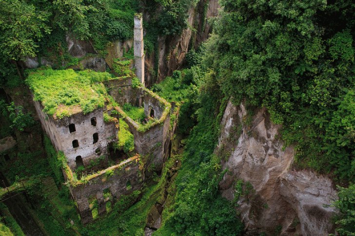 35+ Abandoned Places That Were Reclaimed by Nature. 715294